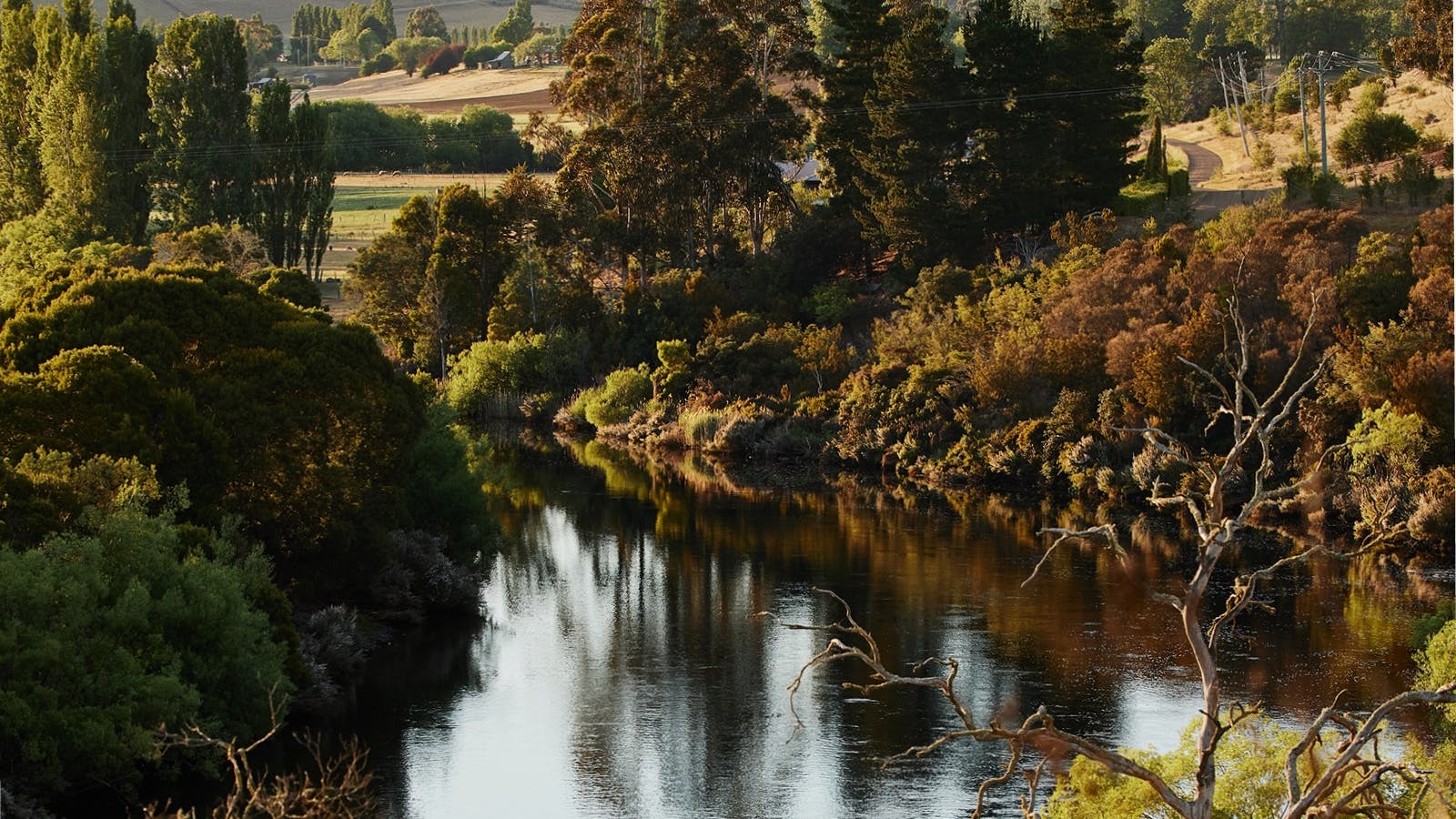 View of the River Derwent. Fly fishing guiding, Tasmania