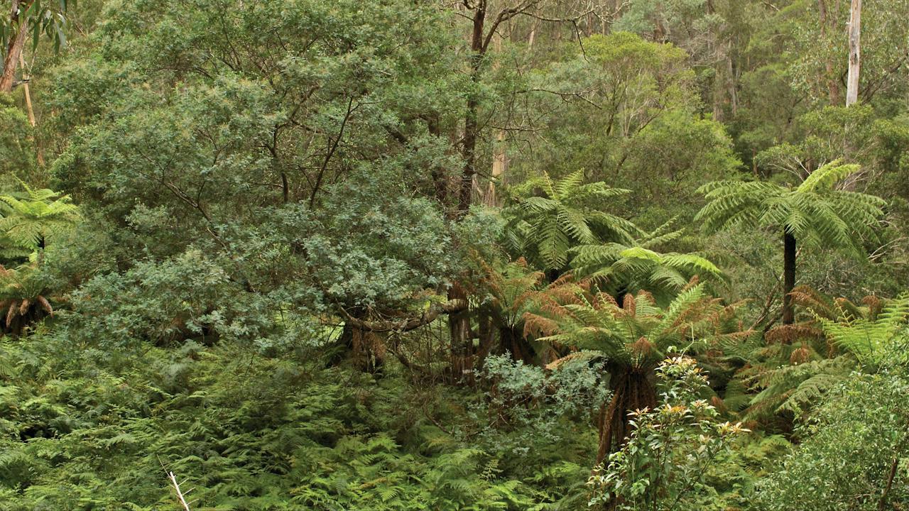 Lind National Park