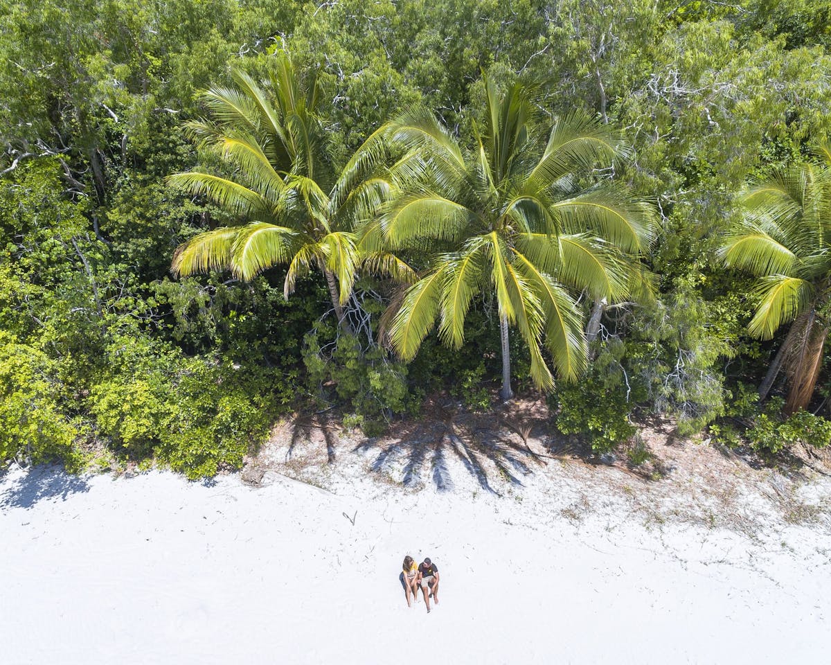 Cape Tribulation Beach