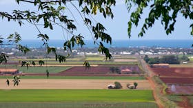 Hummock Lookout