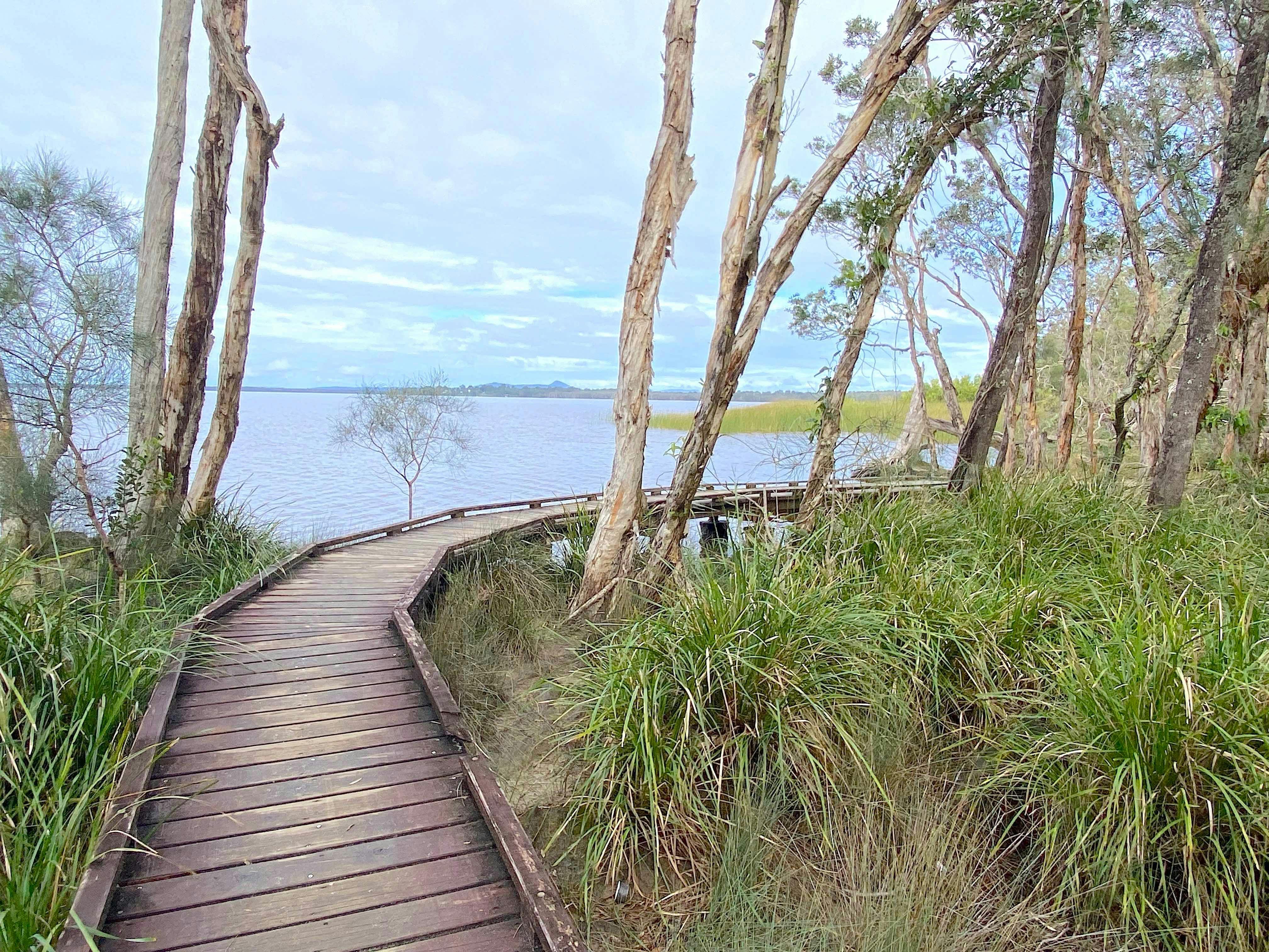 Noosa Hinterland Tour with Gourmet Lunch, Wine and Cheese, Mead, Lookout, Villages & Everglades Lake