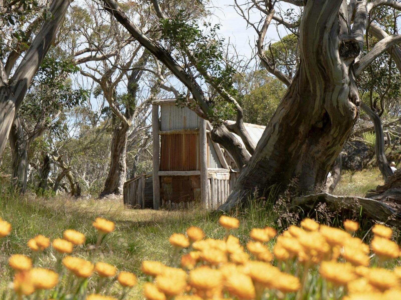 Nature Trax | NSW Holidays & Accommodation, Things to Do, Attractions ...