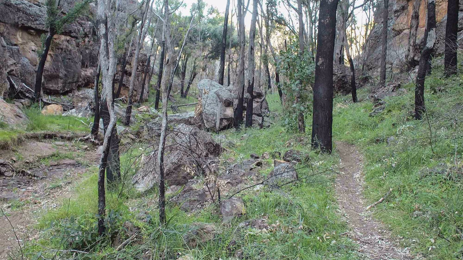 Burbie Canyon walking track