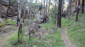 Burbie Canyon walking track