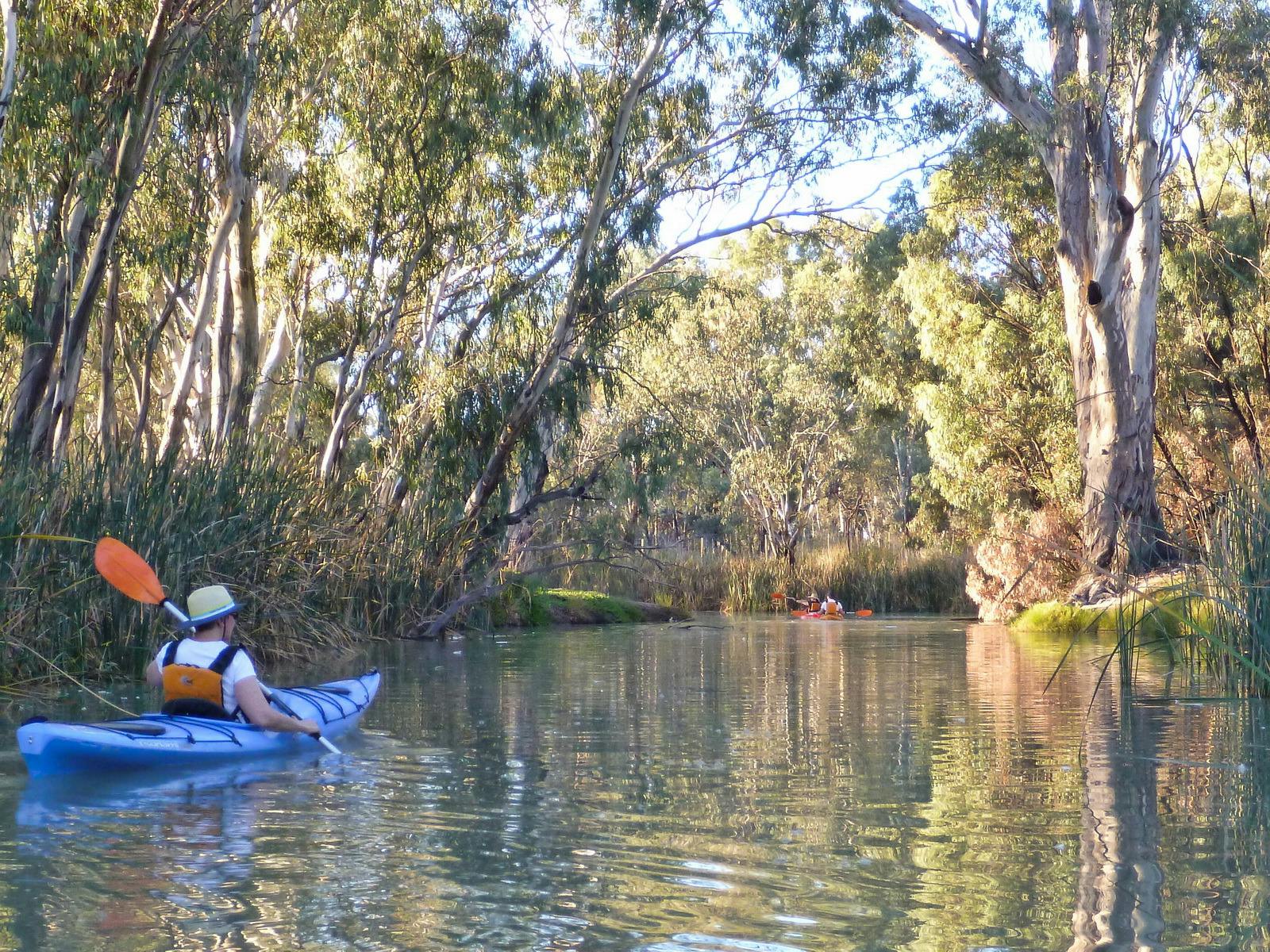 Canoe Adventures - Riverland, Kayak Hire