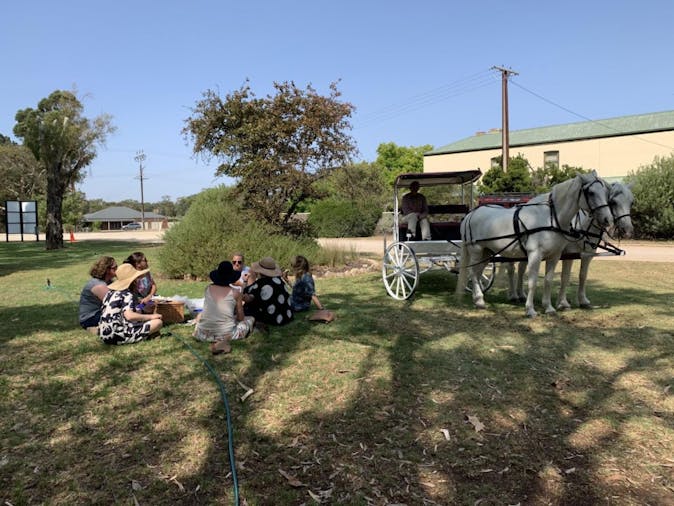 Carriage of Occasion