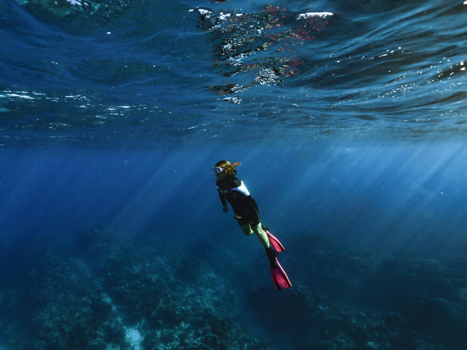 Coral Expeditions - Western Australia, Spearwood, Western Australia