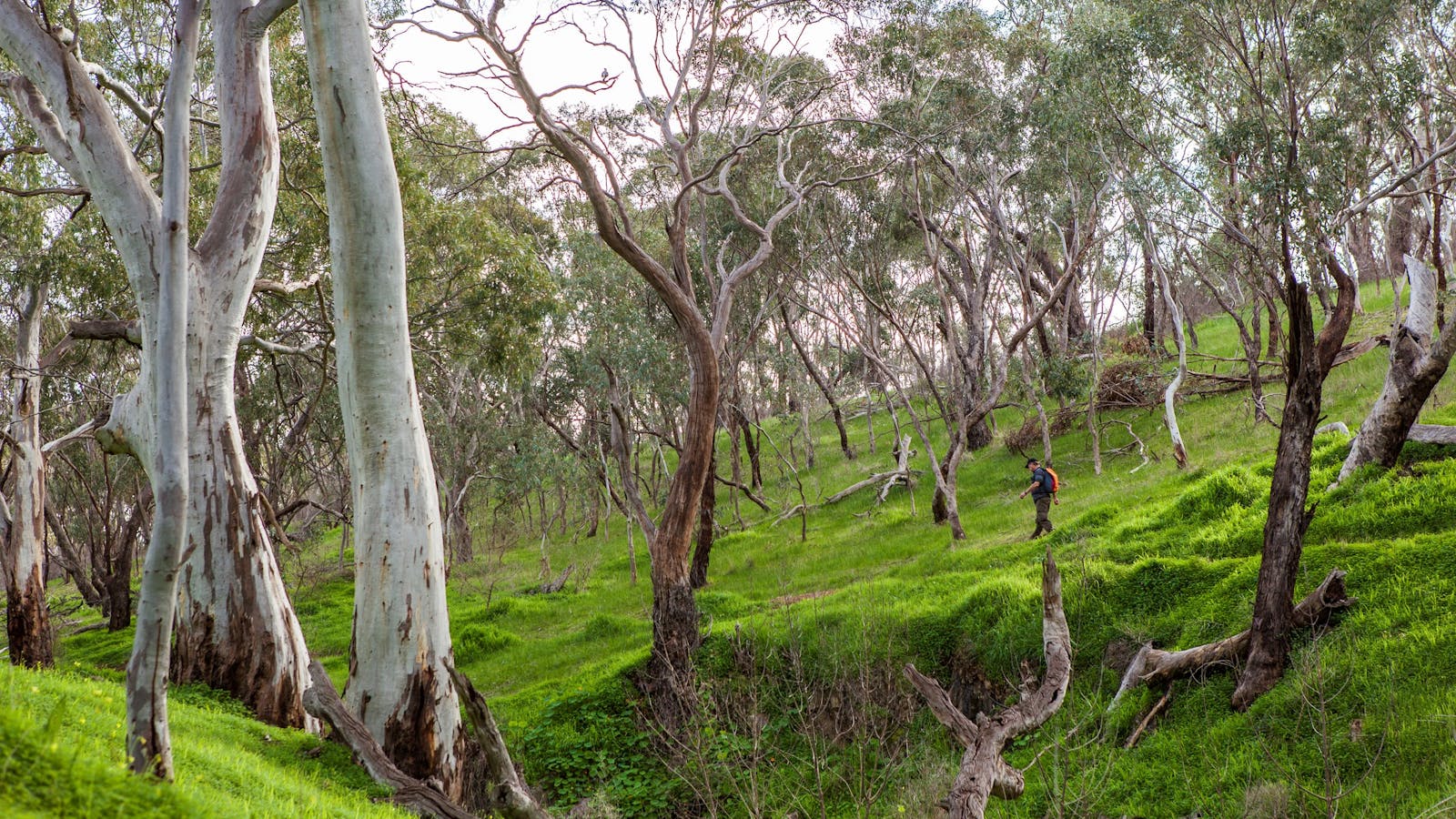 Shepherds Hill Recreation Park