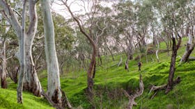 Shepherds Hill Recreation Park