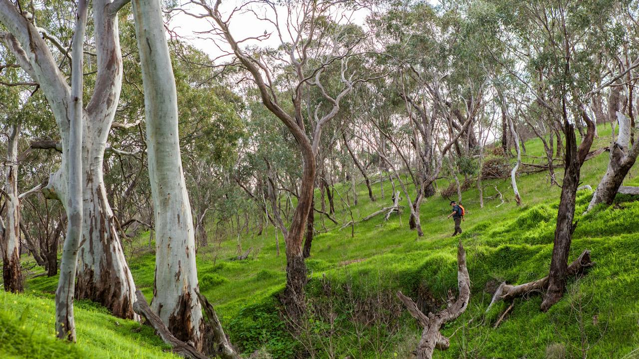 Shepherds Hill Recreation Park