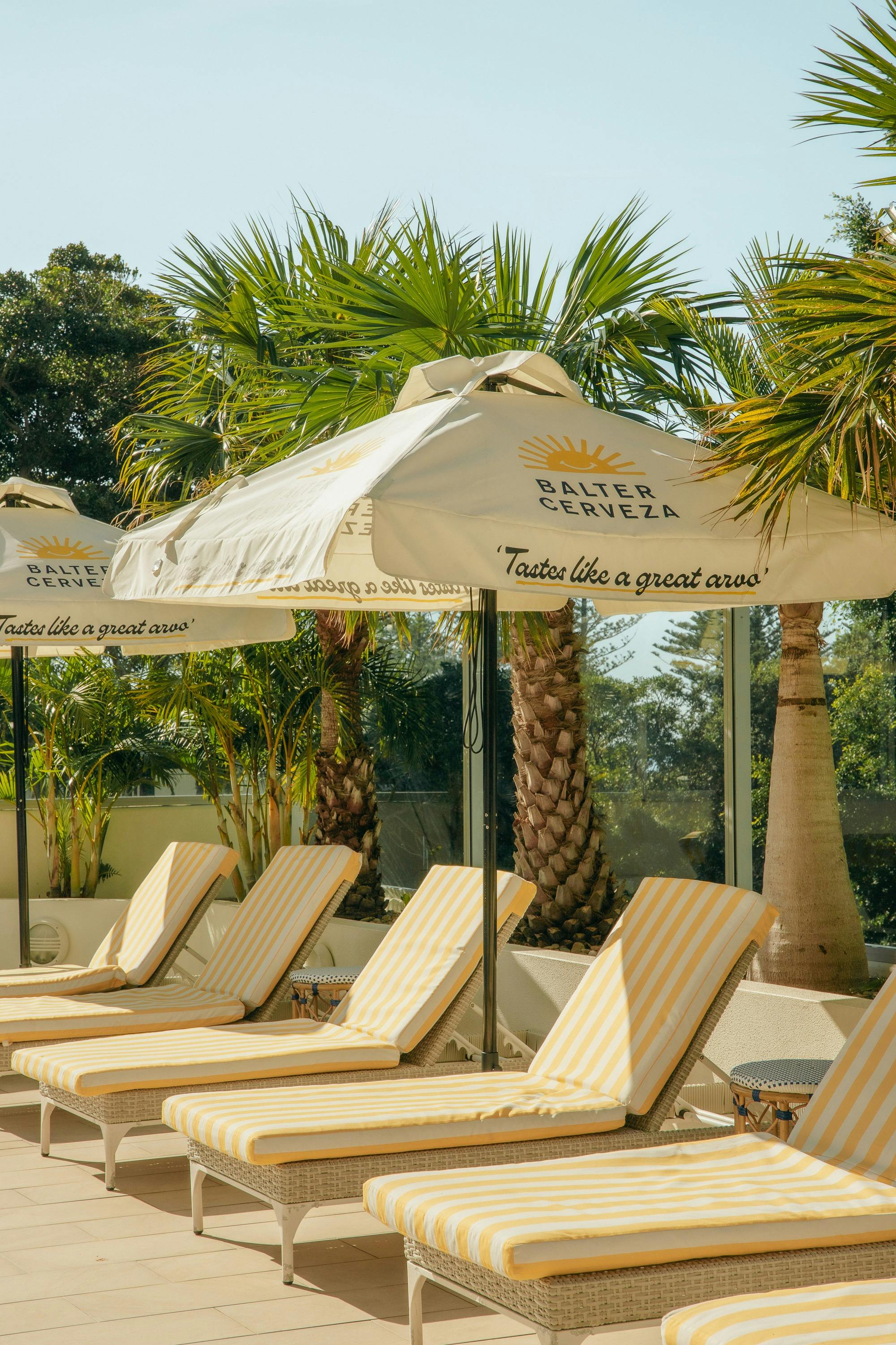 sunbeds and umbrella