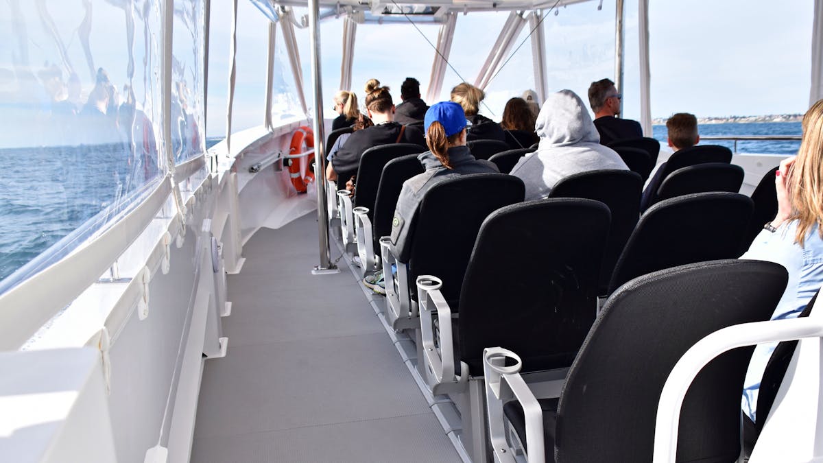 Whale Watch Queensland