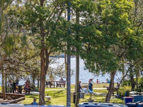 Location  Opposite Noosa River foreshore