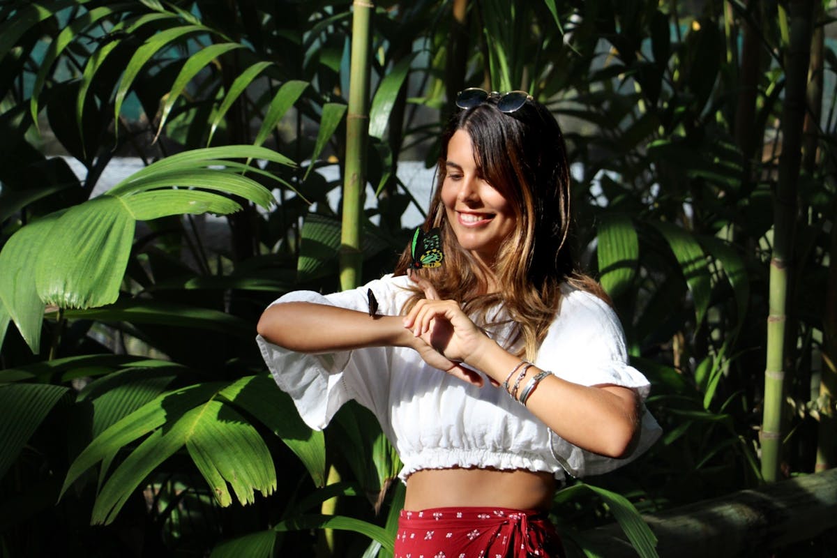 discover largets butterflies at the Australian Butterfly Sanctuary in Kuranda Village