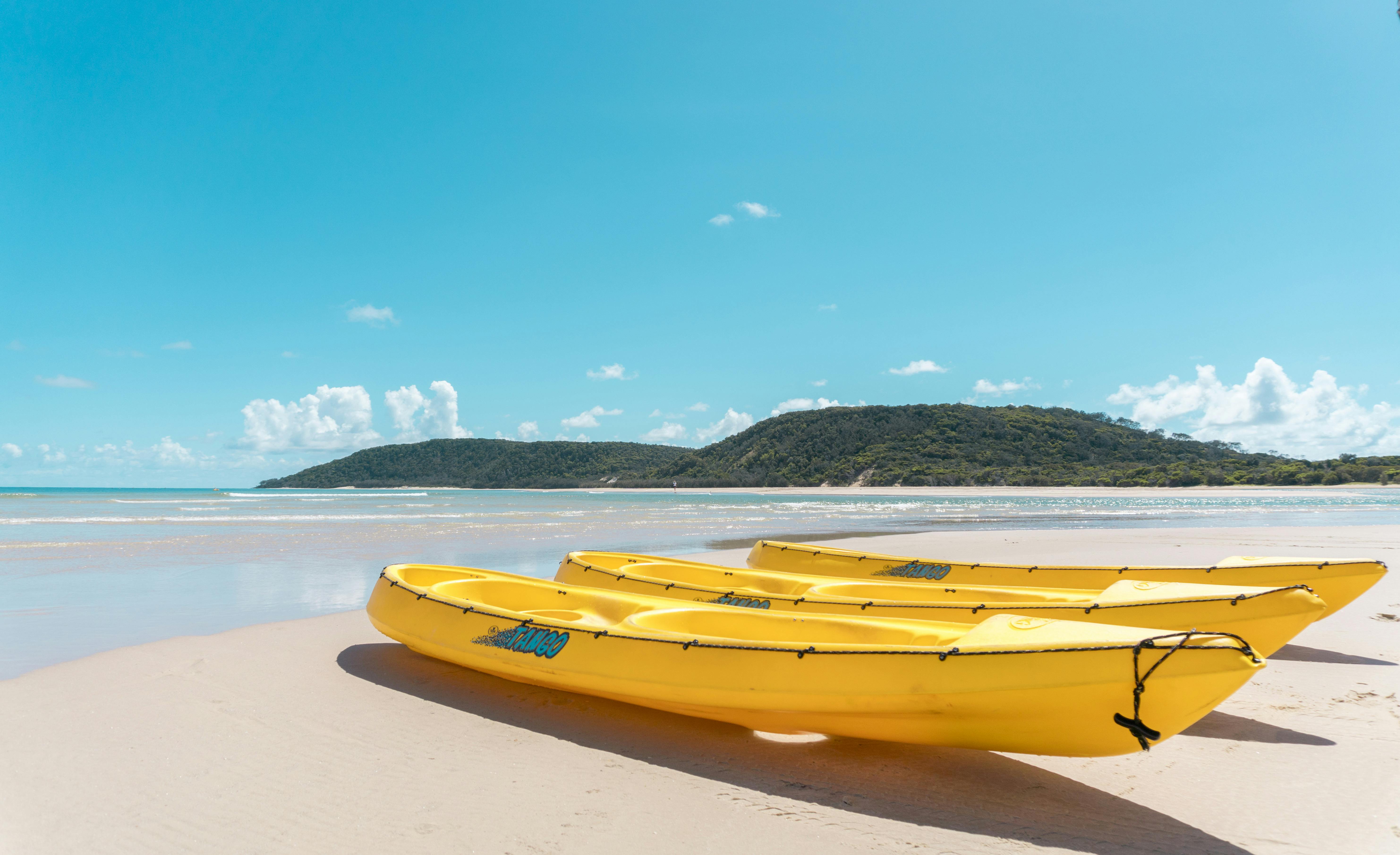 Noosa Dolphin Sea Kayak Tour & 4X4 Beach Adventure