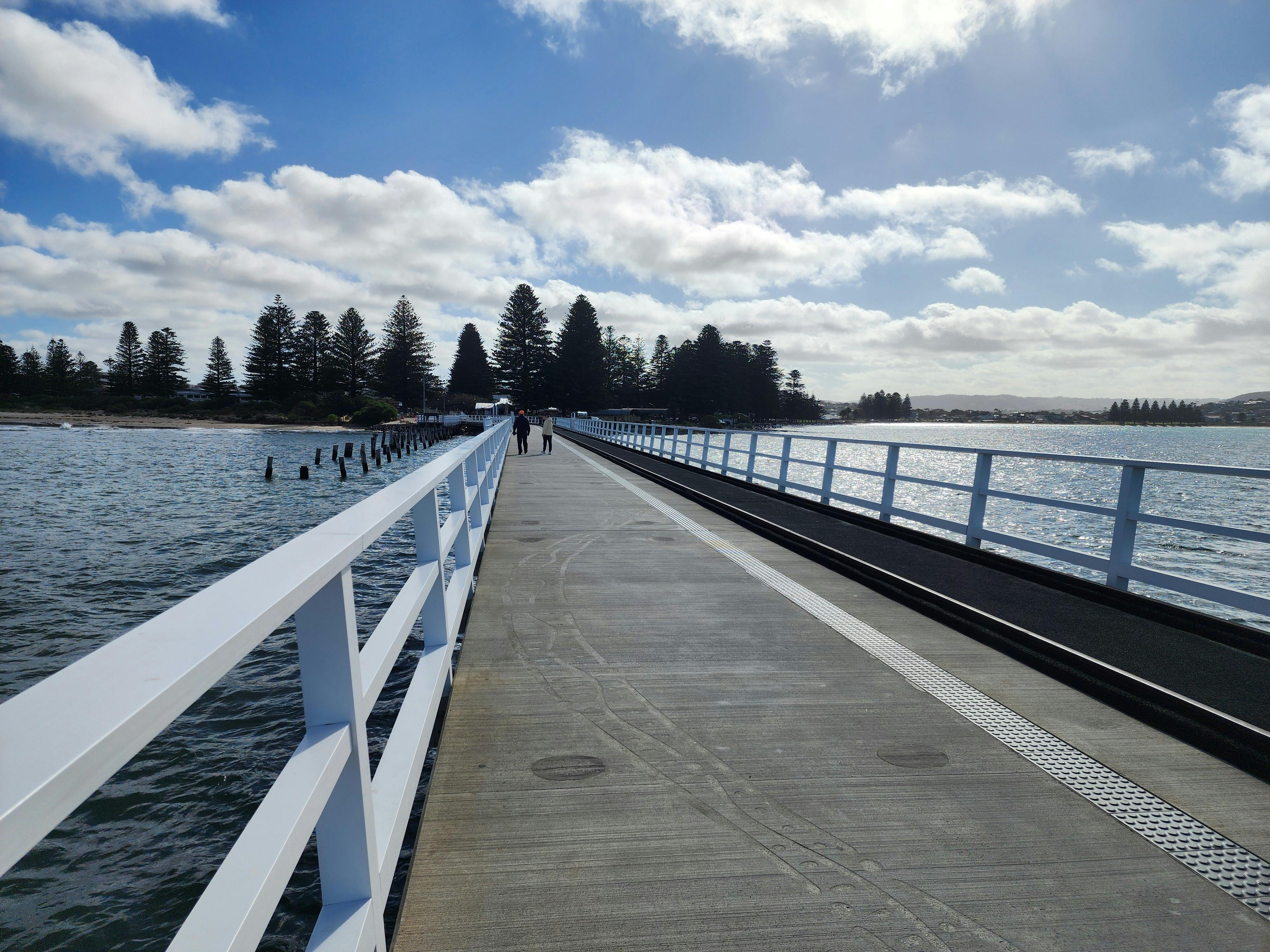 Victor Harbor Causeway looking back at the pine trees lining the shore on the Fleurieu Peninsula Tou