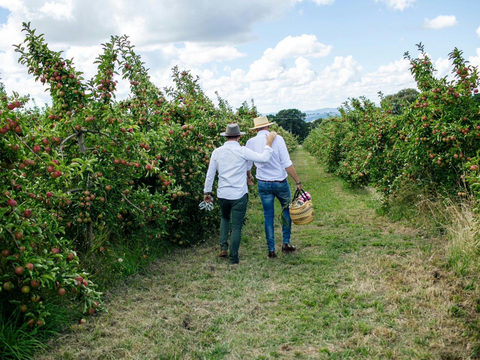 Male couple walking through orchard