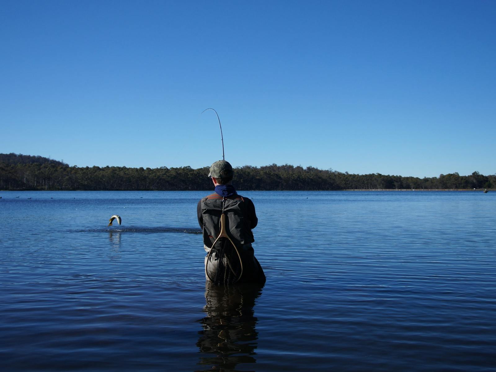 Dry fly fishing in Tasmania's Central Highlands