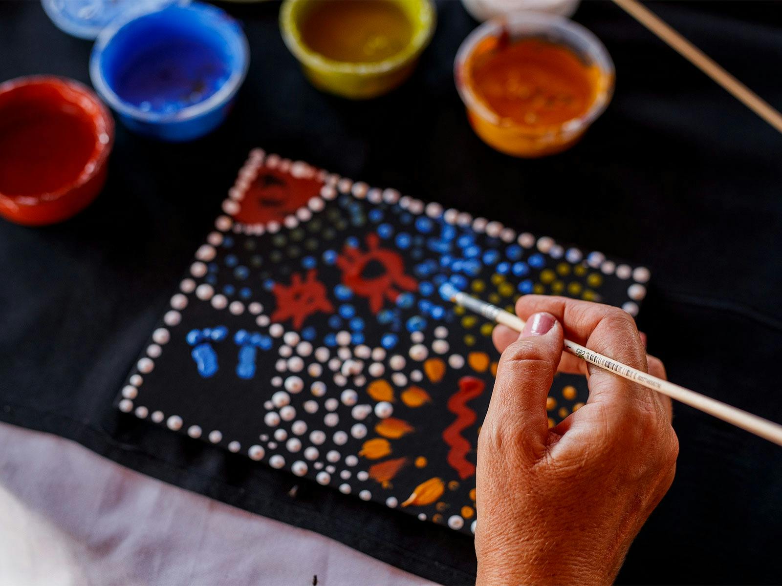 Tiwi Islands Aboriginal Cultural Tour