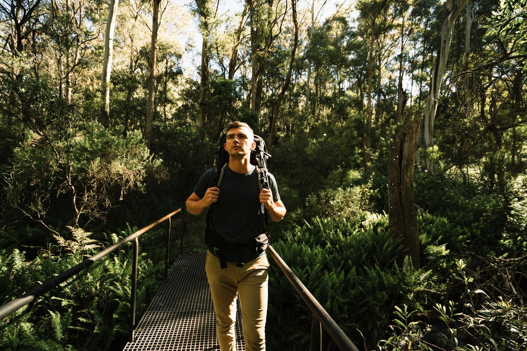 Image for Hume & Hovell Track