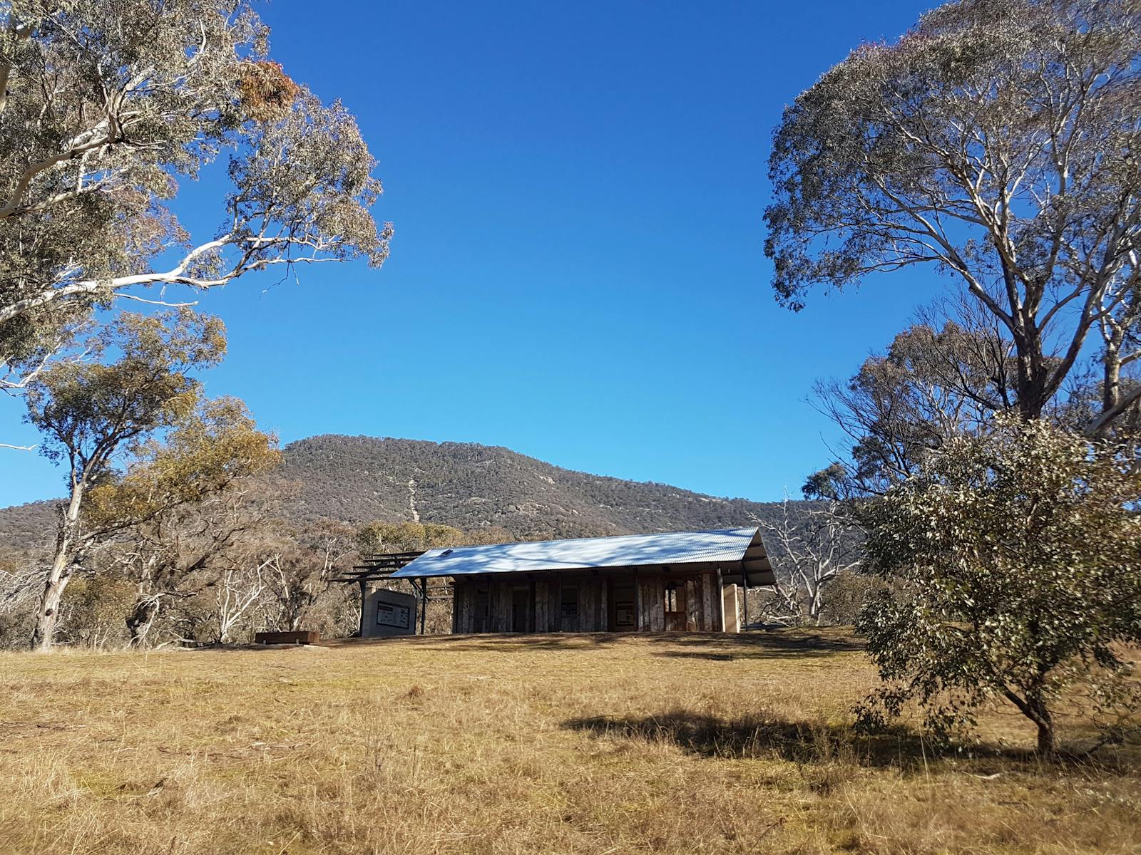 Mt Tennent
