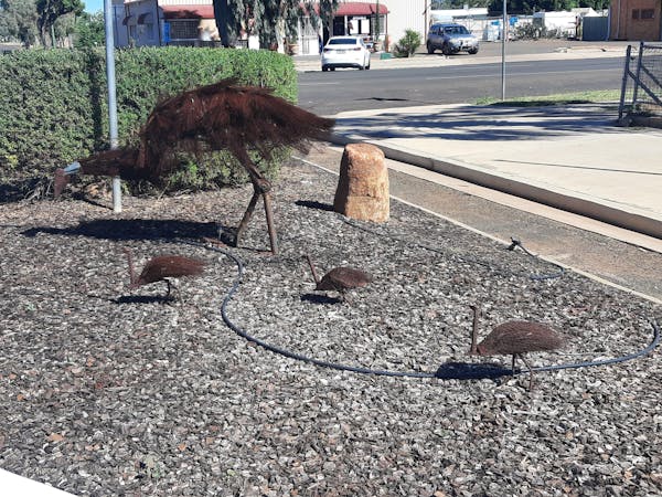 Emus