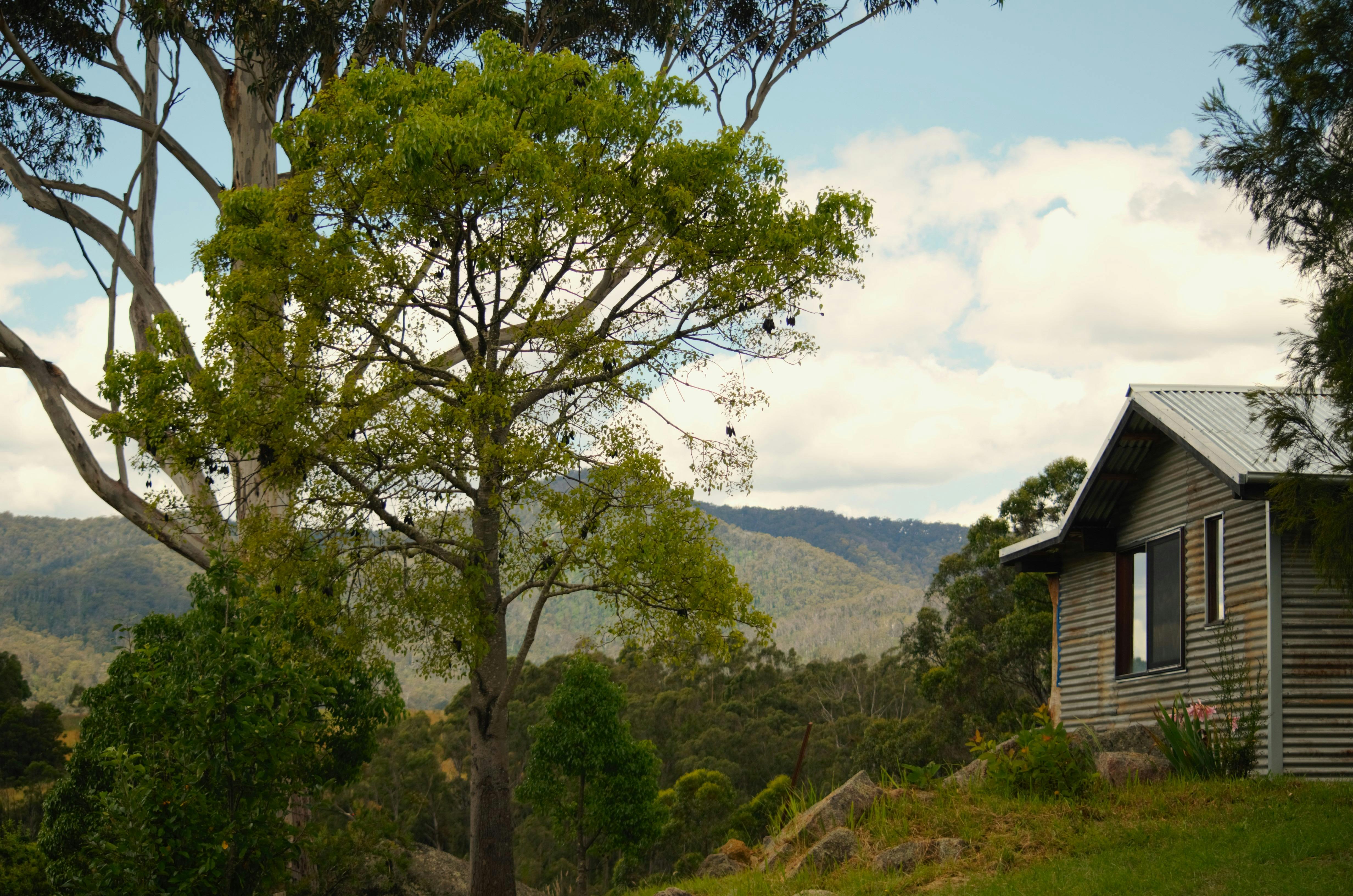Whispering Creek Cabin