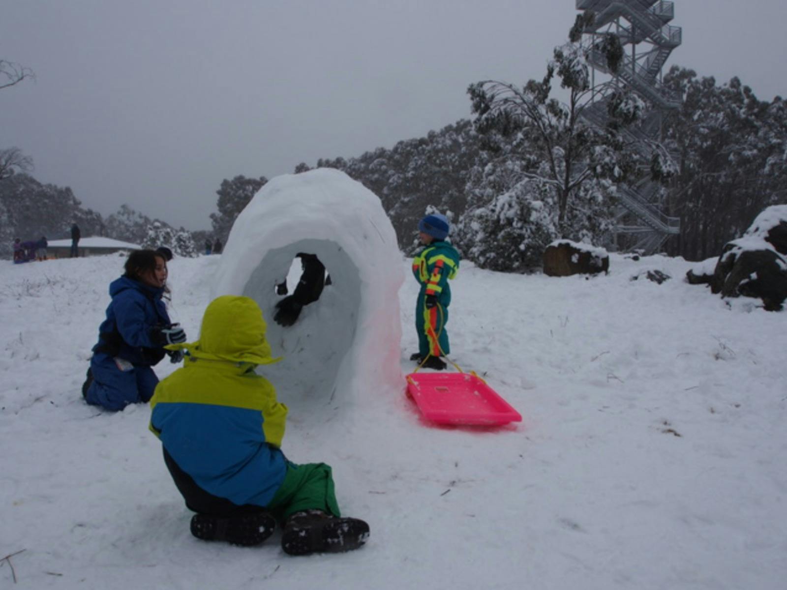 Snow play at Mt Donna Buang