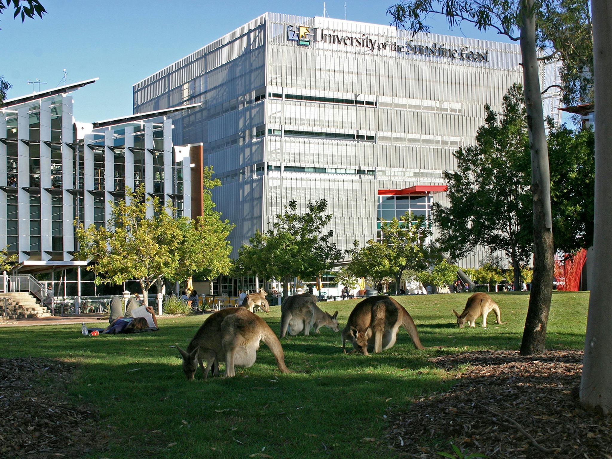 University of the Sunshine Coast Sippy Downs University of the Sunshine Coast Sippy Downs