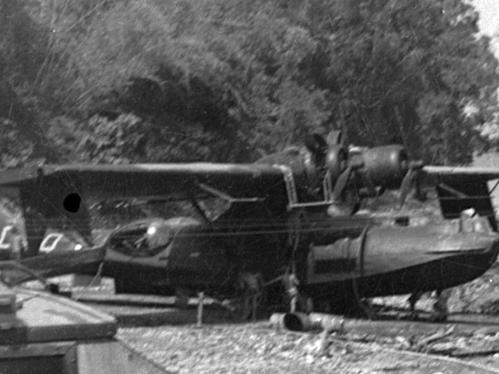 Catalina at Doctors Gully