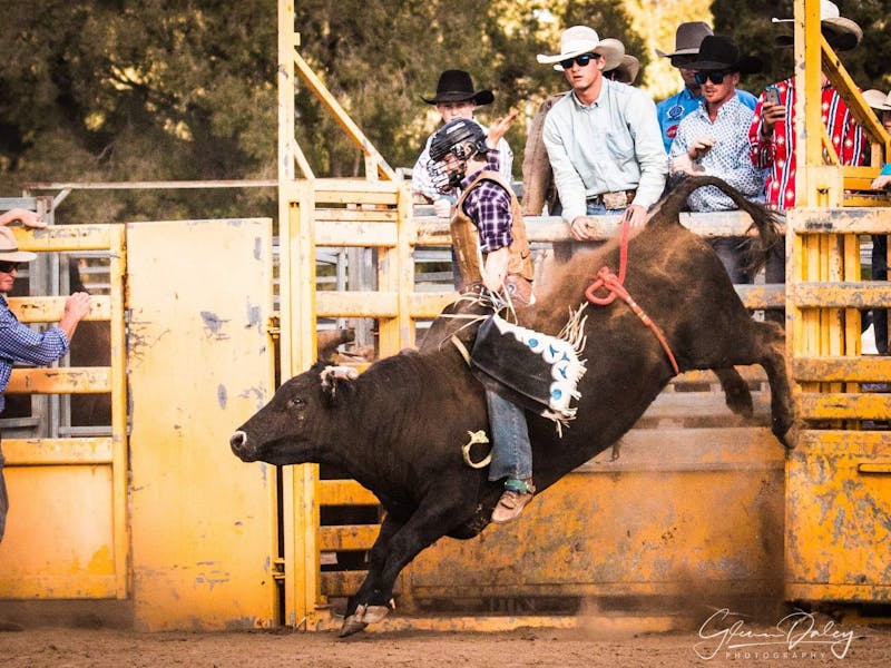 Image for Cowra Spring Show