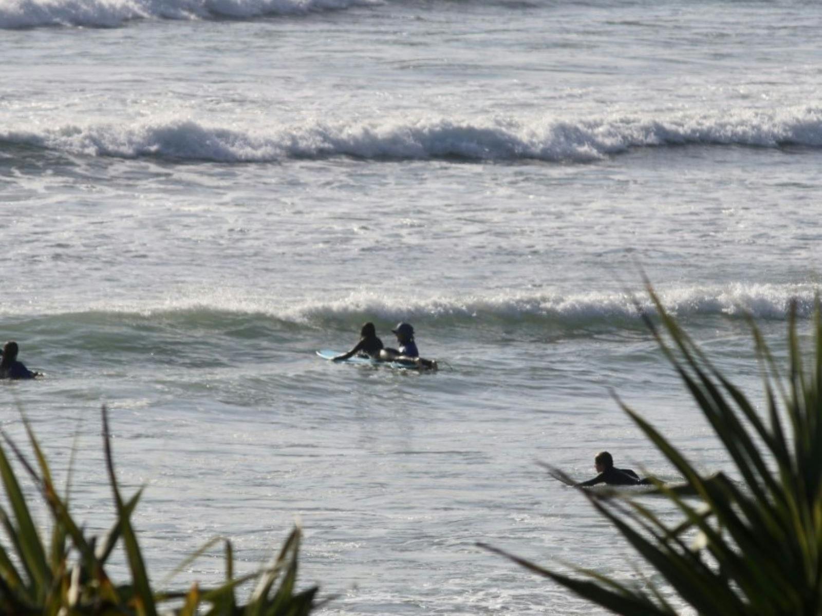 surfing with pandanus in forefront