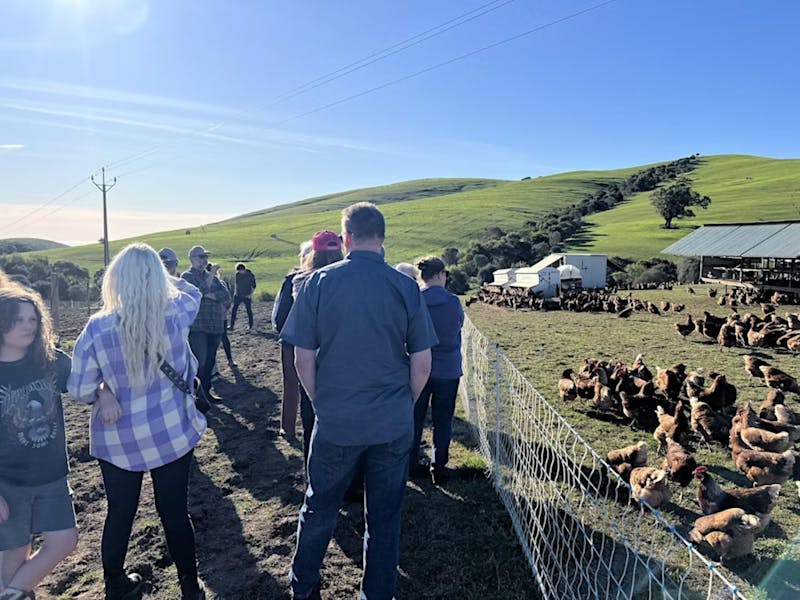 Image for Fleurieu Food Festival: Feather & Peck: Farm Walking Tour
