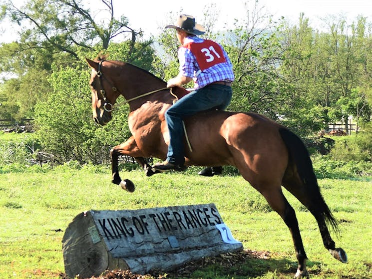 'Bareback' event showing rider skill without the aid of a saddle