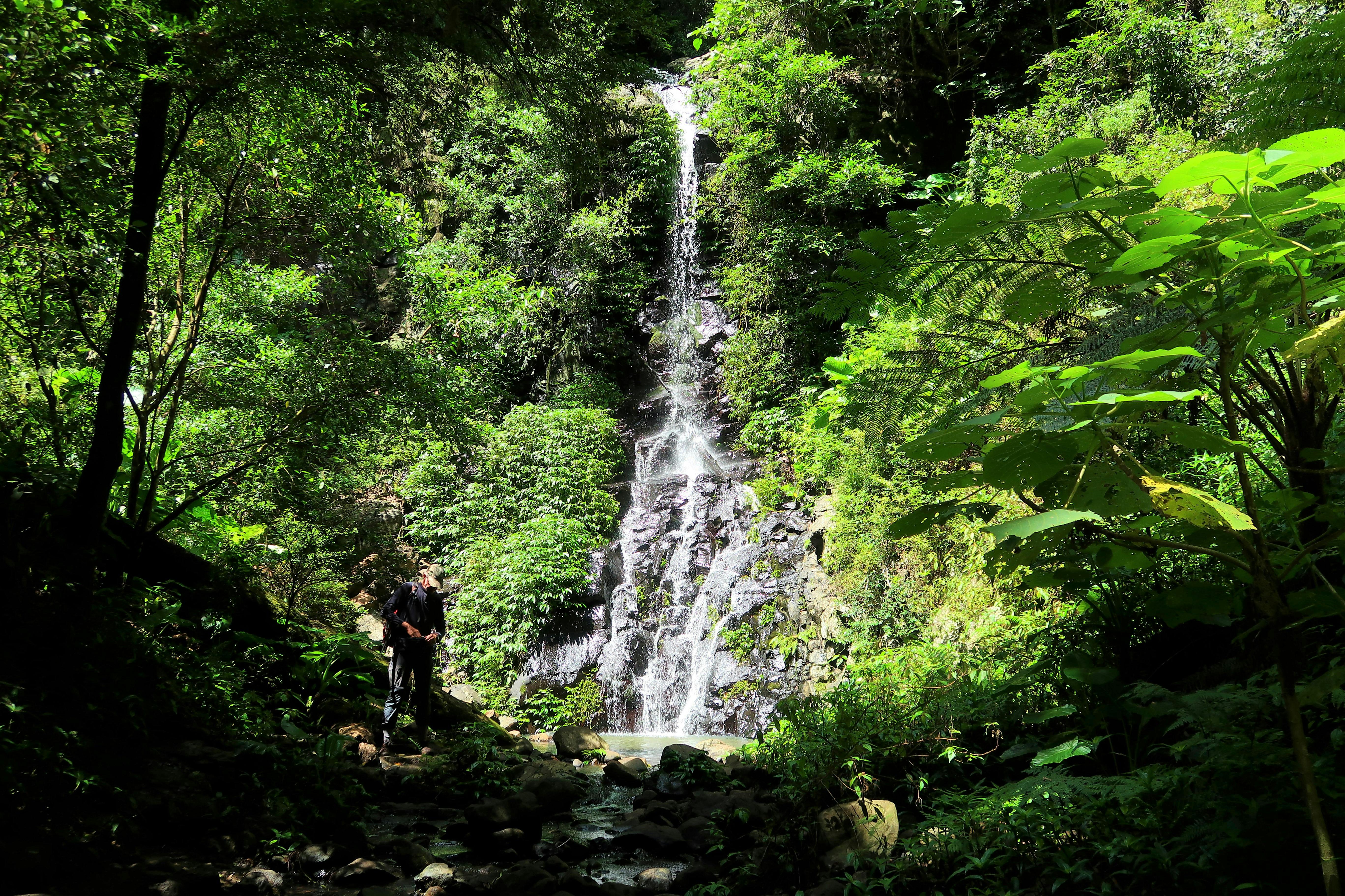 Darramboola Falls Lamington NP