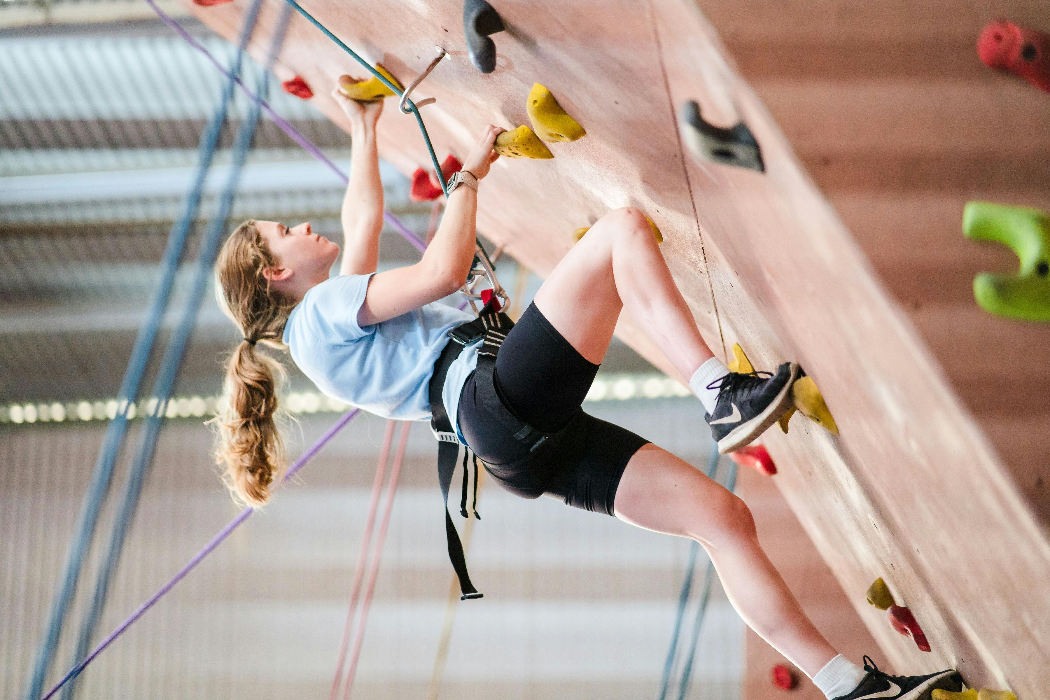 トボガン ヒル パーク