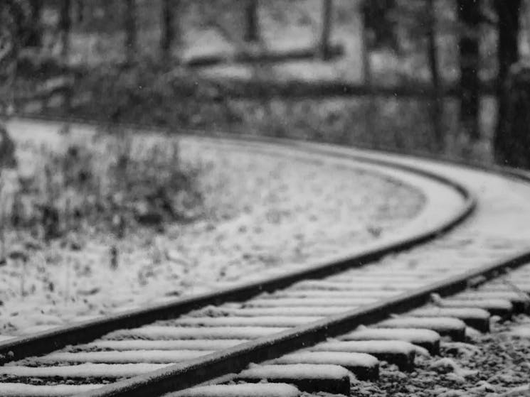 Ladysmith Tourist Railway Open Day