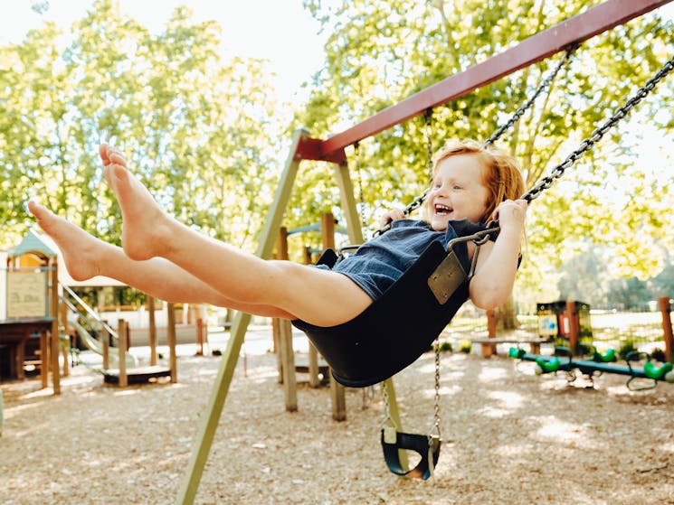 Murray River Precinct - Noreuil Park Playground