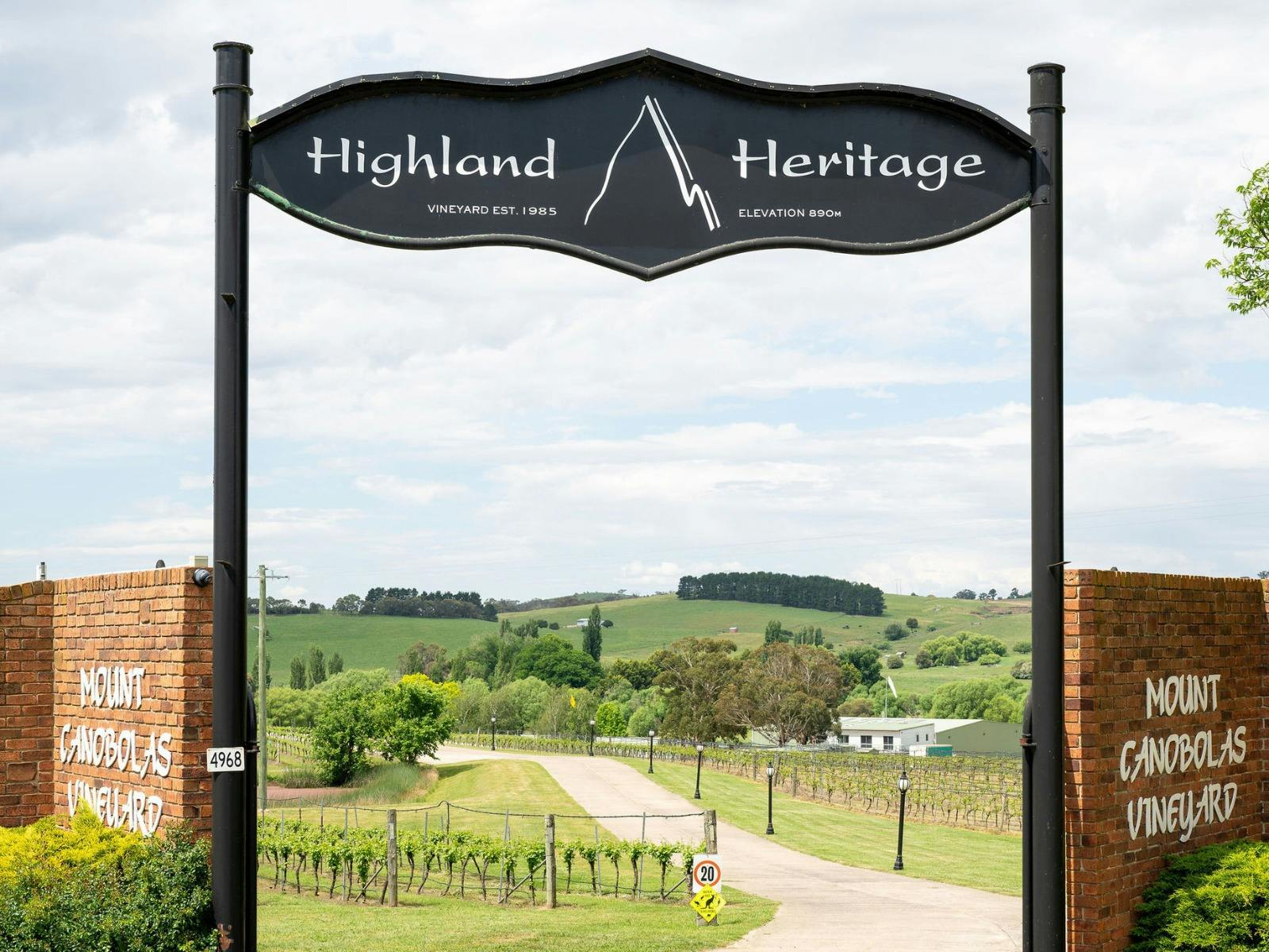 Nonna's 80th Anniversary Long Lunch