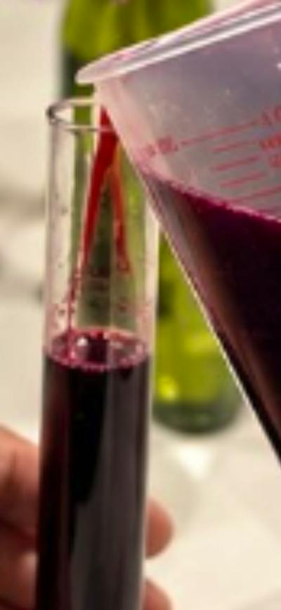 Dionysus Winery