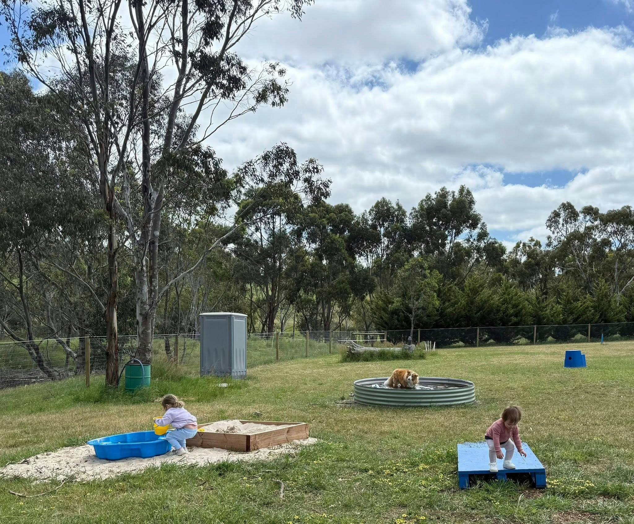 kids n dogs