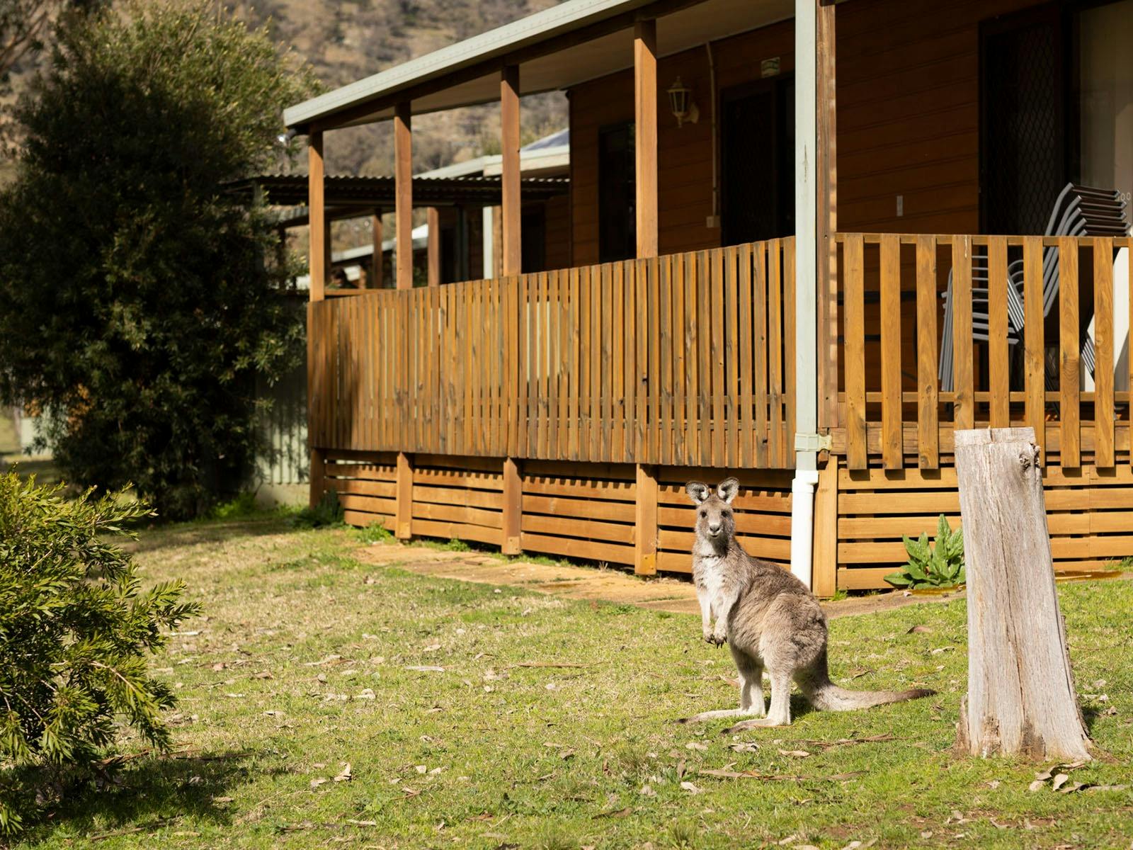 View of cabin at Reflections Grabine Lakeside