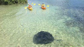 Kayak Hire Mossy Point