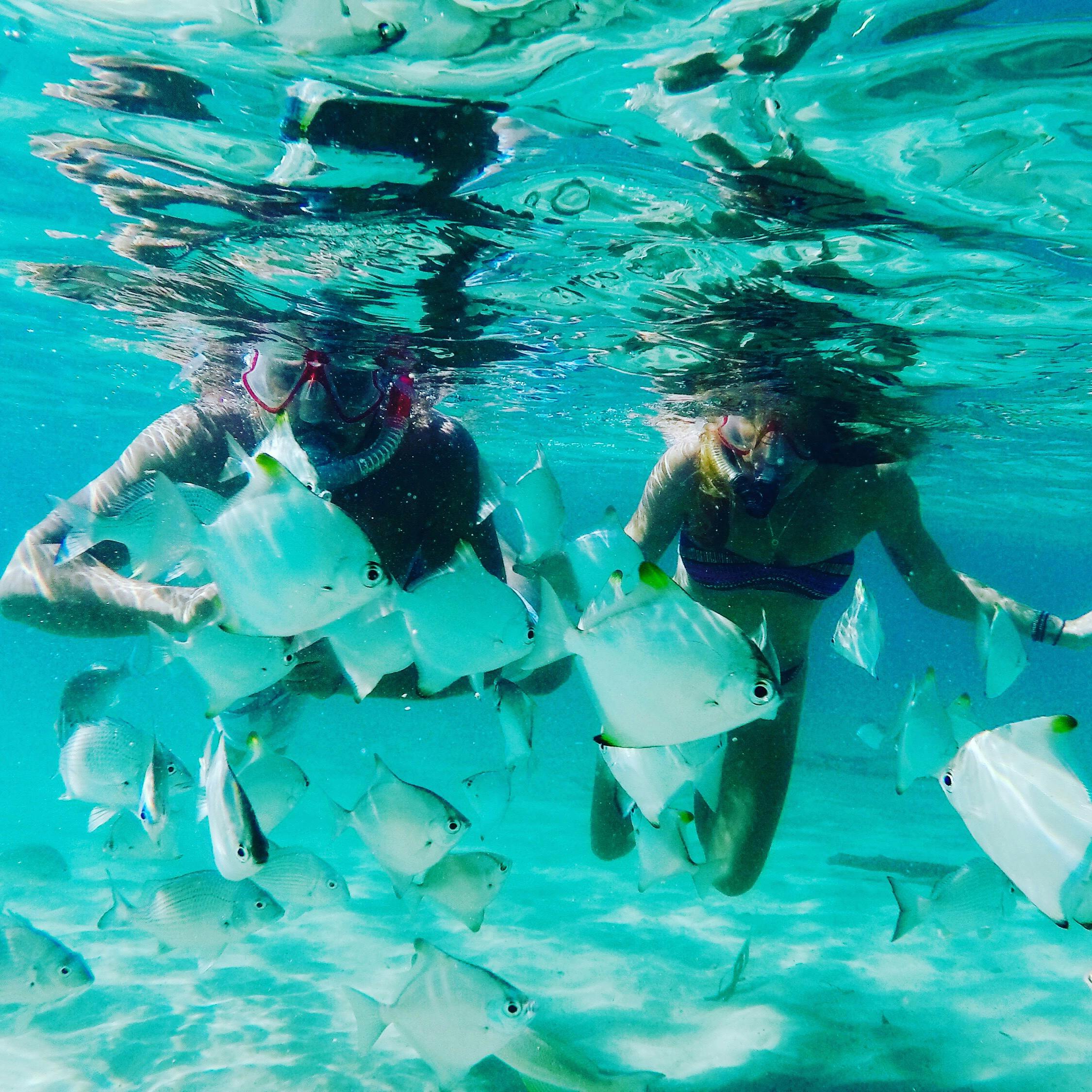 Snorkelling with the locals