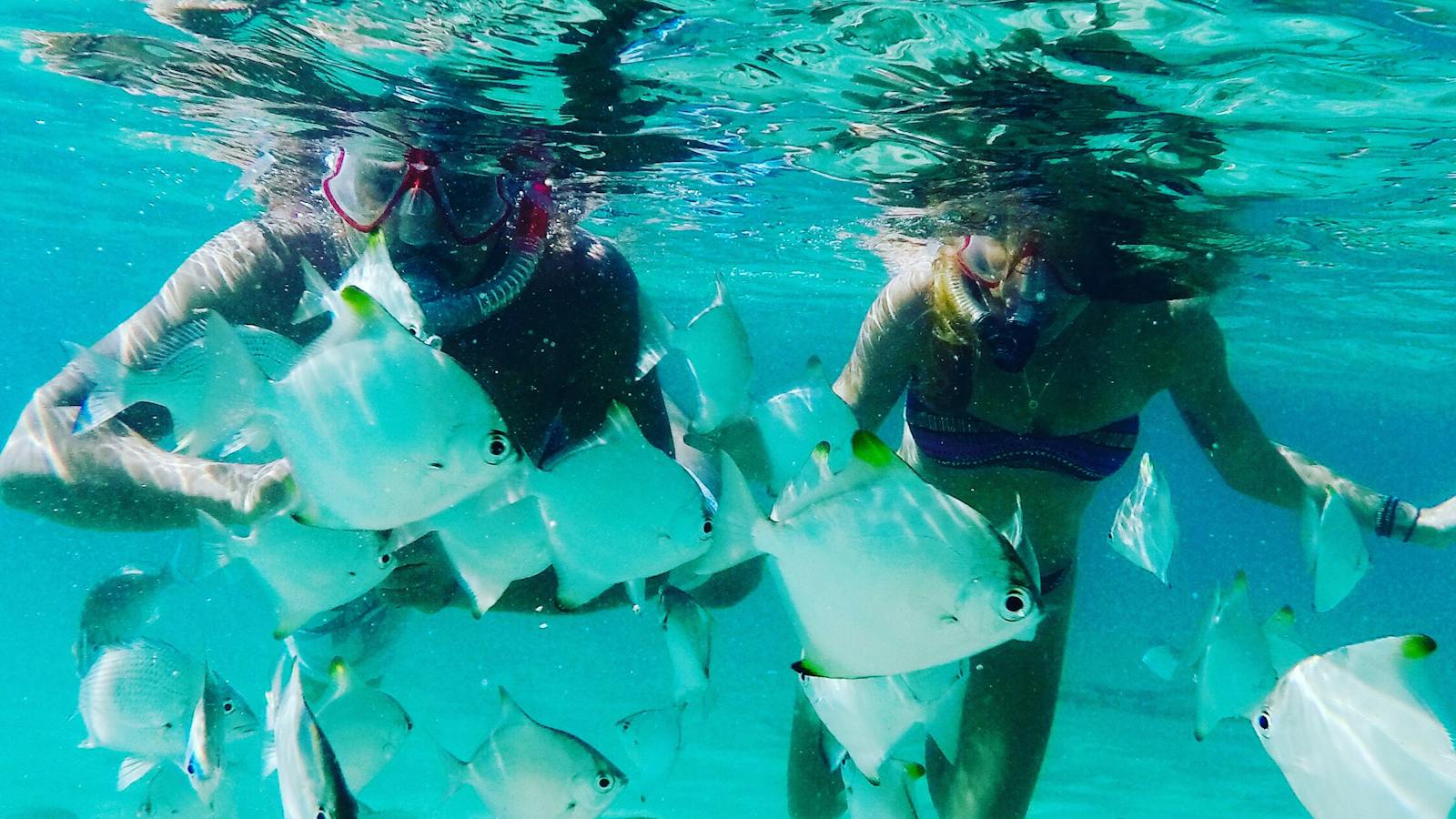 Snorkelling with the locals