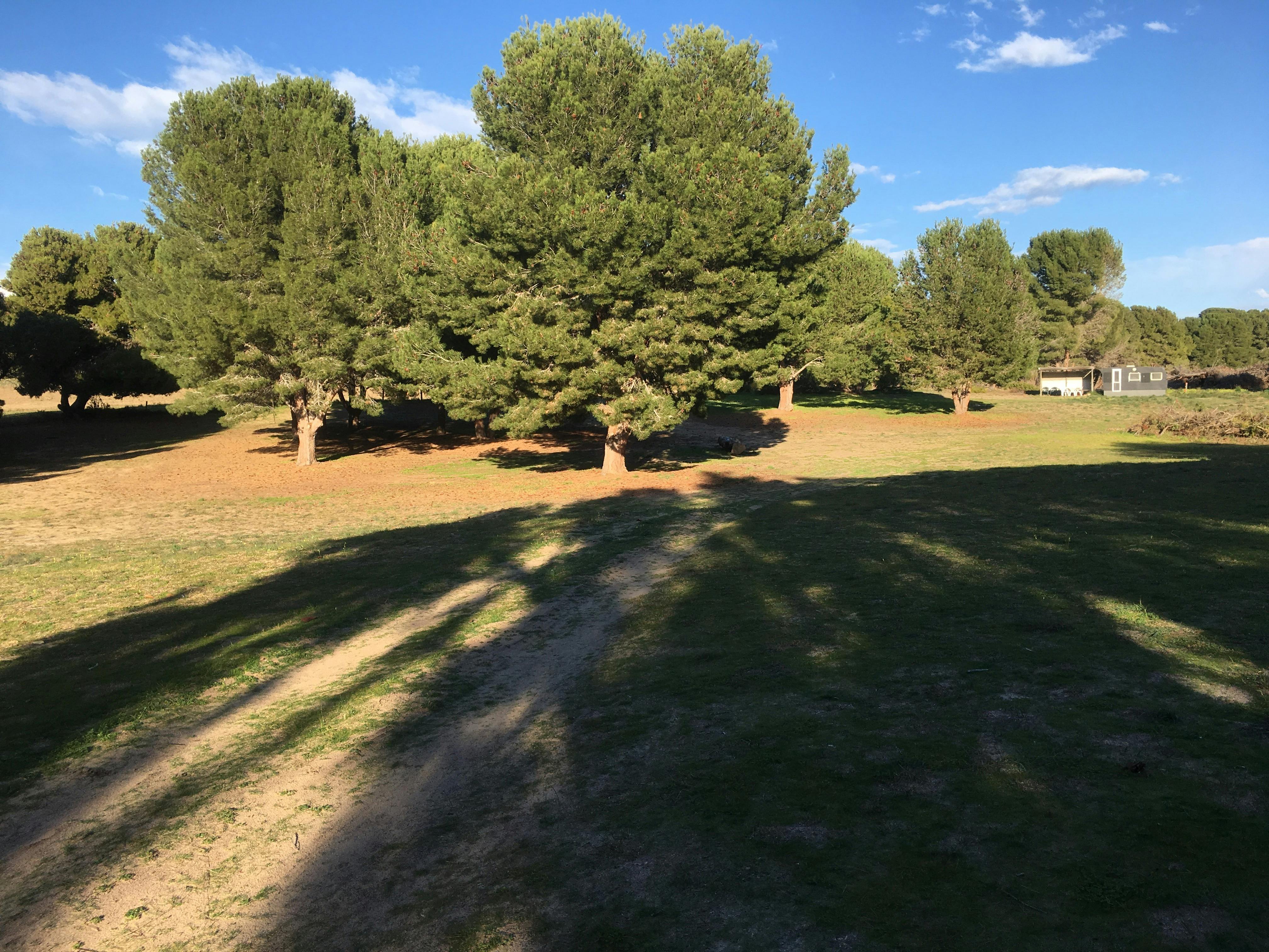 Unpowered Camp ground