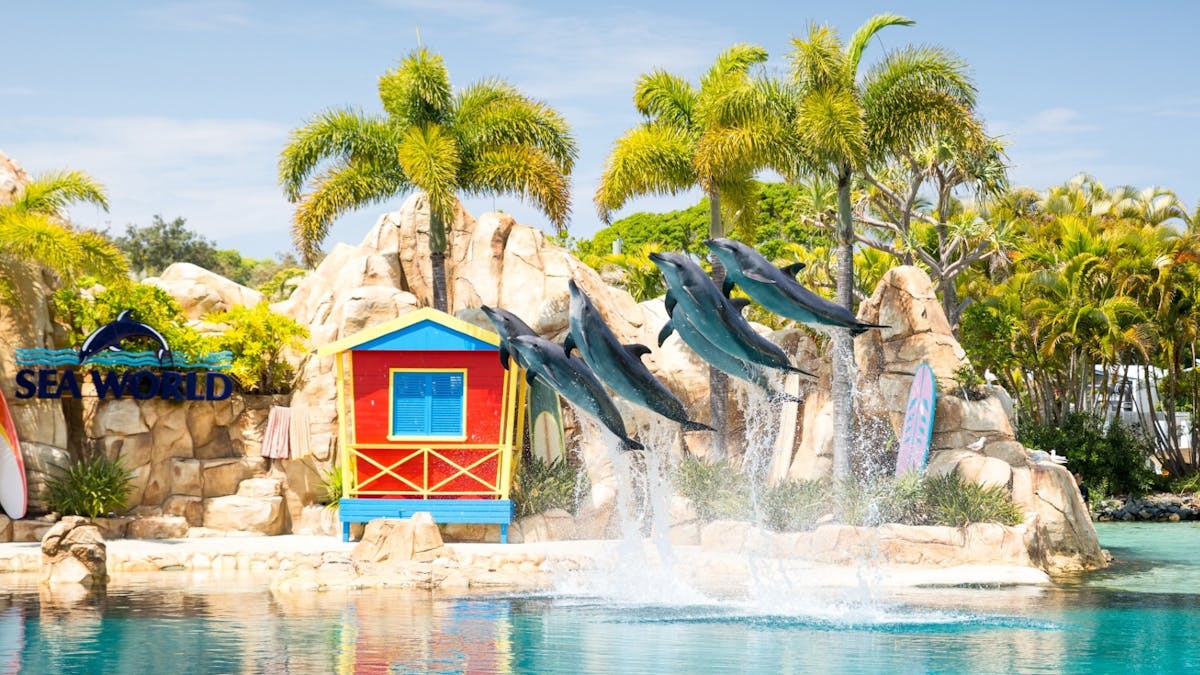 Sea World Theme Park Sea World Theme Park