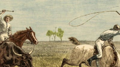 An illustration of men on buffalos with whips