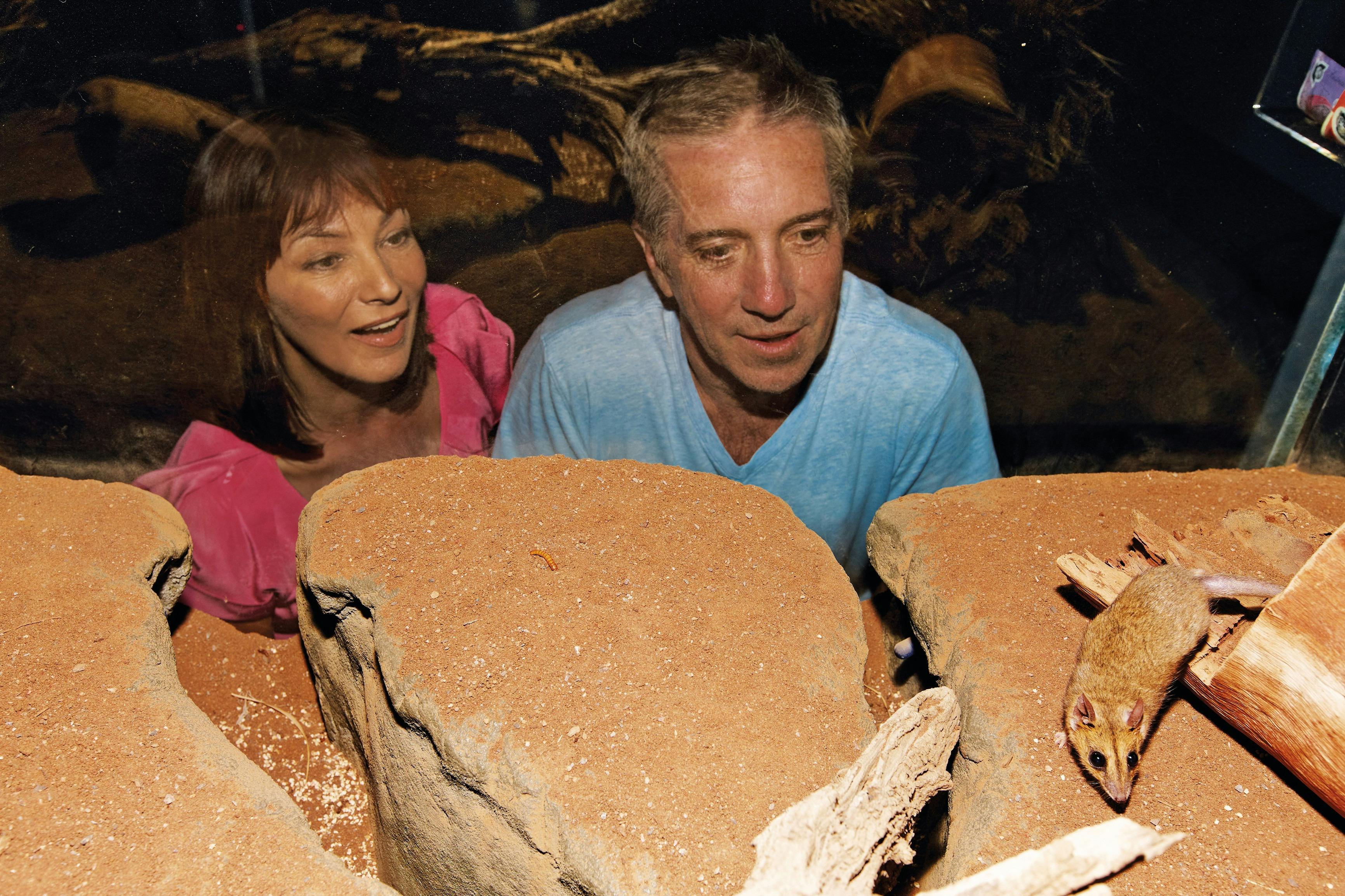 At the Creek Visitor Information Centre