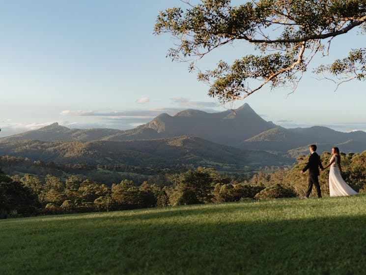 The fig tree hill has amazing 360deg views out to Mt Warning & Night Cap National Park